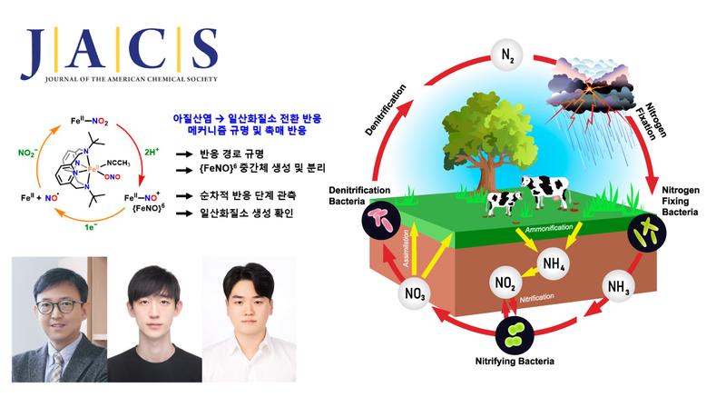 신기루처럼 나타났다 사라지는 아질산염 환원 반응 중간체 포착!